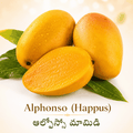 Alphonso (Happus)/ఆల్ఫోన్సో మామిడి