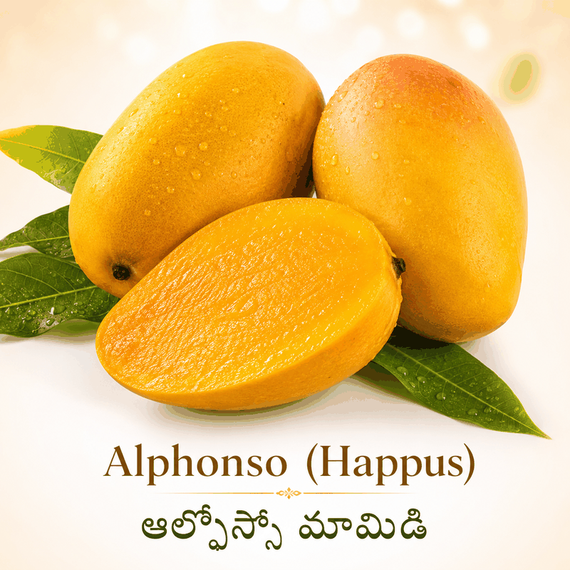 Alphonso (Happus)/ఆల్ఫోన్సో మామిడి