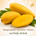 Banganapalle/బంగనపల్లి మామిడి