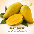 Imam Pasand/ఇమామ్ పసంద్ మామిడి