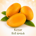 Kesar/కేసర్ మామిడి