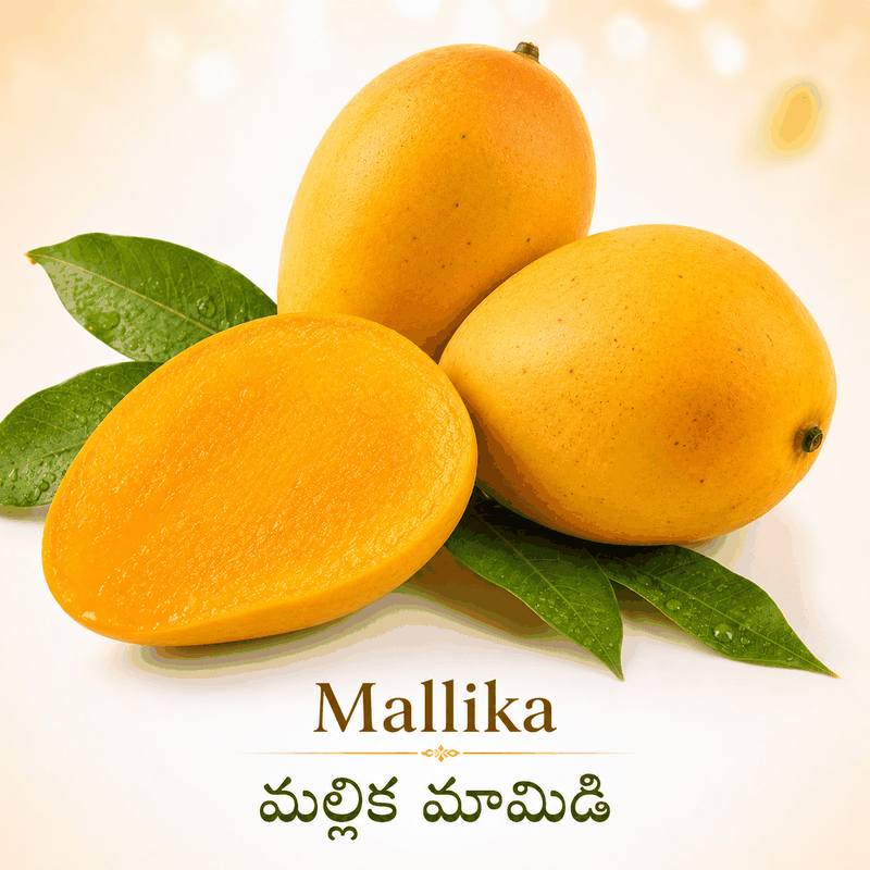 Mallika/మల్లిక మామిడి