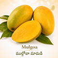 Mulgoa/ముల్గోవా మామిడి