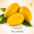 Neelam/నీలం మామిడి