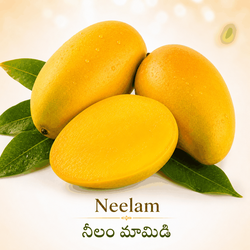 Neelam/నీలం మామిడి